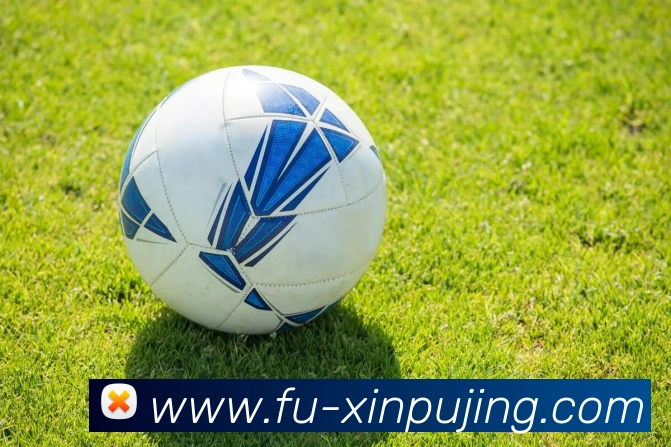 新葡京娱乐平台生态图